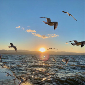 老太婆被躁120分钟免费观看
